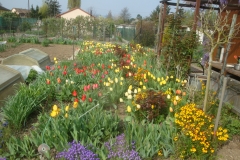DSC00625