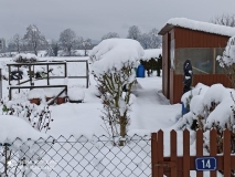IMG_20210117_110402_resultat