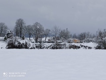 IMG_20210117_113118_resultat