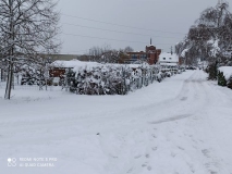 IMG_20210117_113422_resultat